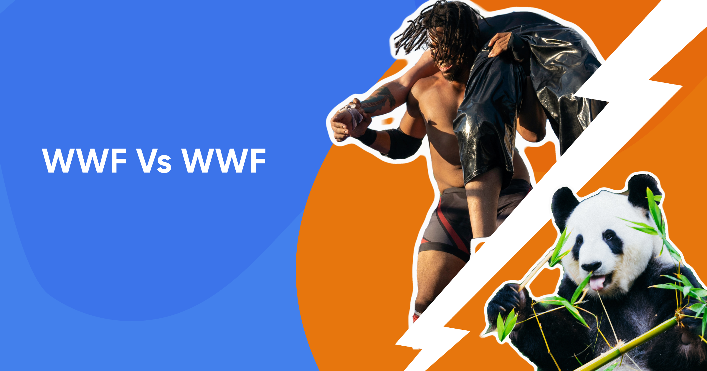 WWF v WWF